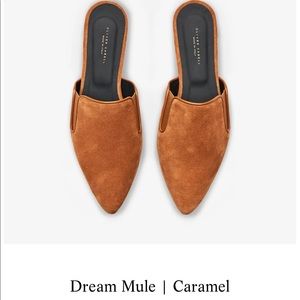 Brand new in the box Oliver Cabell Dream mule